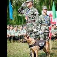 Michealfeng Michealfeng