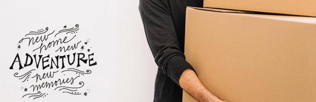 Best Packers Packers