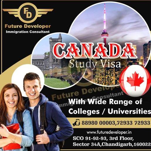 Futuredeveloper Immigration