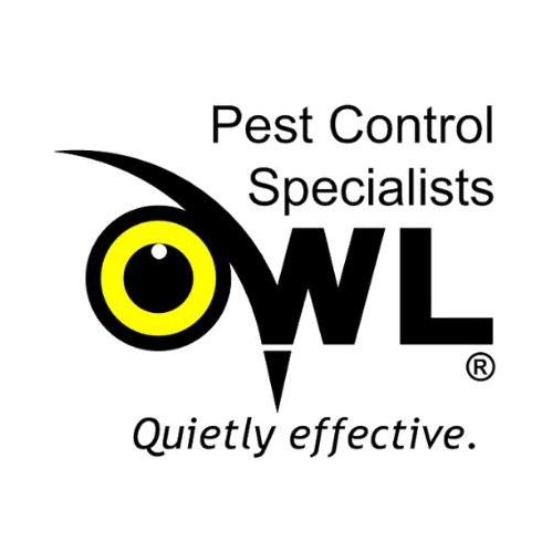 Owl Pest Control
