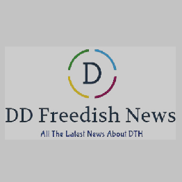 Stretches For Lower  Back Pain